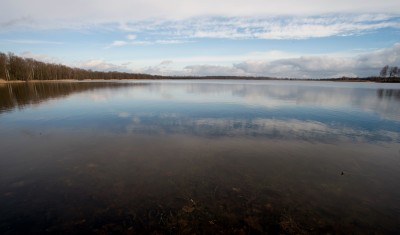 Dolina Baryczy: tu spotkasz orły, żurawie, a nawet pelikana - 9