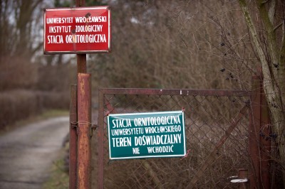 Dolina Baryczy: tu spotkasz orły, żurawie, a nawet pelikana - 2
