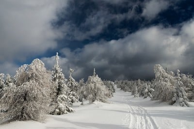  Foto-pasjonaci na dolnośląskich szlakach (NIESAMOWITE ZDJĘCIA)  - 10