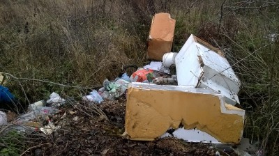 Sprzątamy Szczawno-Zdrój (REAKCJA24)  - 2