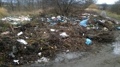 Sprzątamy Szczawno-Zdrój (REAKCJA24)  - 3