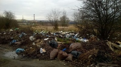 Sprzątamy Szczawno-Zdrój (REAKCJA24)  - 5