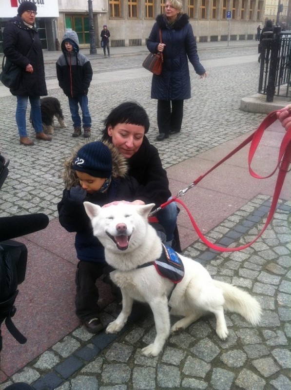 Wielkie wycie w centrum Wrocławia - Fot: Elżbieta Osowicz