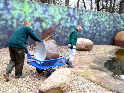 Zoo Wrocław: Ptaki poczuły wiosnę (ZDJĘCIA) - 11