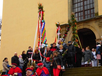 Palmy z Chełmska Śląskiego (GALERIA)