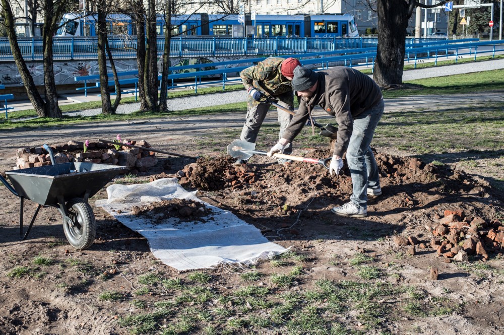 Żywe wyspy na Odrze. Każdy może je zbudować [ZDJĘCIA]