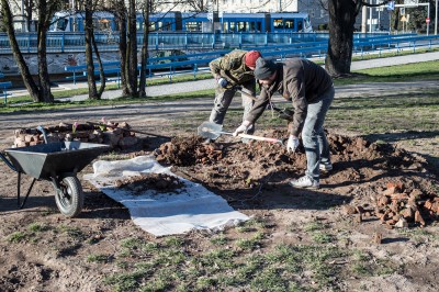 Żywe wyspy na Odrze. Każdy może je zbudować [ZDJĘCIA] - 0