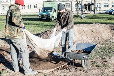 Żywe wyspy na Odrze. Każdy może je zbudować [ZDJĘCIA] - 1
