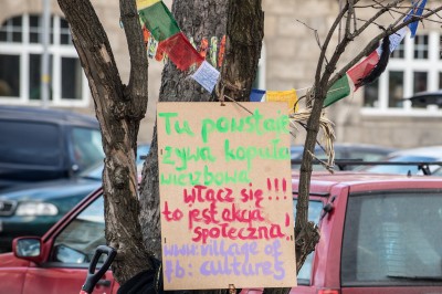 Żywe wyspy na Odrze. Każdy może je zbudować [ZDJĘCIA] - 8