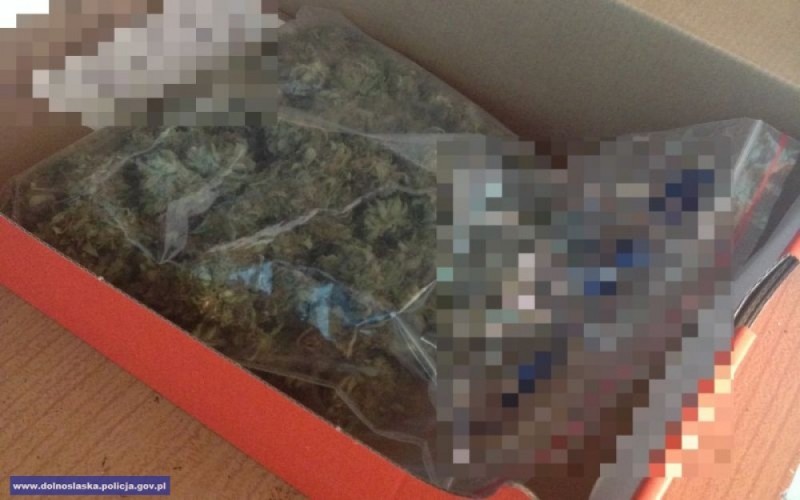 Narkotyki w mieszkaniu – policjanci zabezpieczyli ponad 400 porcji marihuany - dolnoslaska.policja.gov.pl