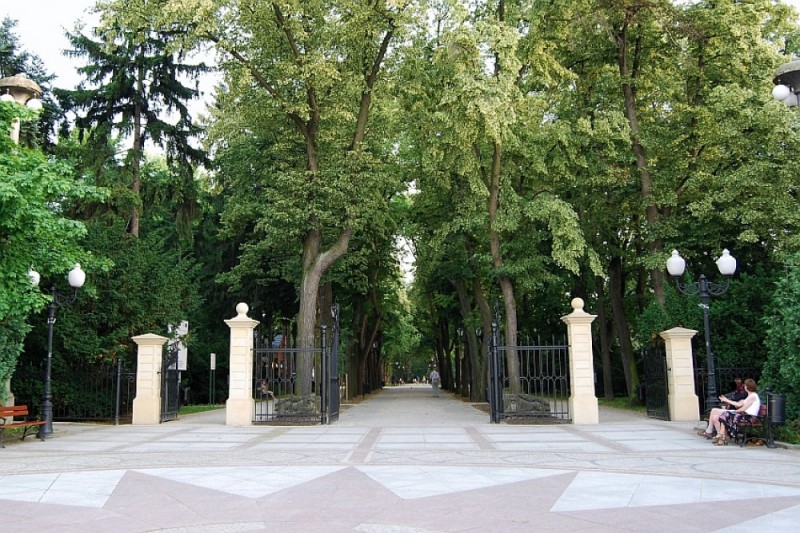 Groźne gałęzie w Cieplicach ? (REAKCJA 24)  - Fot. Wikipedia / InnaIna