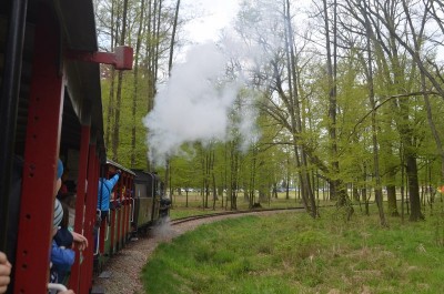 Majówka pod parą, czyli Krośnicka Kolej Wąskotorowa (FOTO) - 4