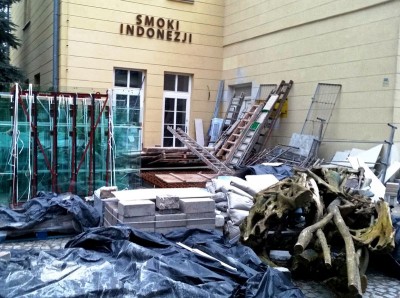 Zoo Wrocław: Warany z Komodo i smoki z Indonezji będą miały nowy dom (FOTO) - 1