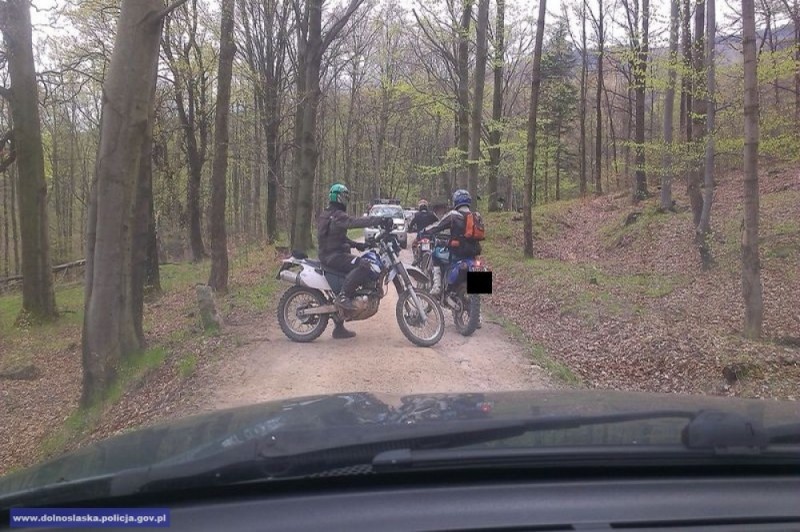 Quady i motocykle w dolnośląskich lasach: Mandaty dla Niemców - 