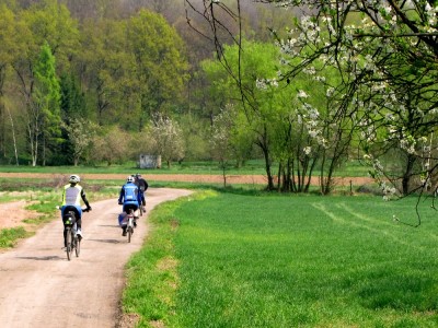 TOP5 dolnośląskich tras rowerowych - wygrywa trasa zabytkowa ! 
