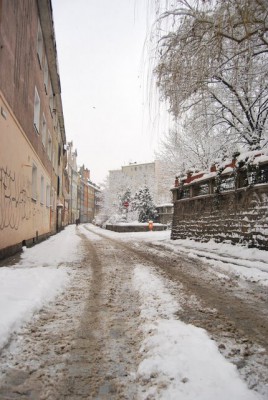 Dolny Śląsk pod śniegiem, sparaliżowany Wrocław (Zobacz) - 19