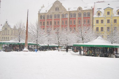 Dolny Śląsk pod śniegiem, sparaliżowany Wrocław (Zobacz) - 20