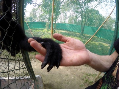 We wrocławskim zoo ratują nosorożce (ZDJĘCIA) - 0