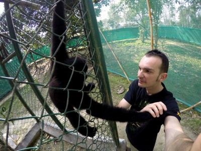We wrocławskim zoo ratują nosorożce (ZDJĘCIA) - 11