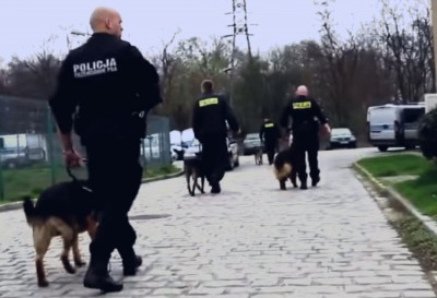 Psy dolnośląskiej policji. Jest ich 56 w województwie [FILM]
