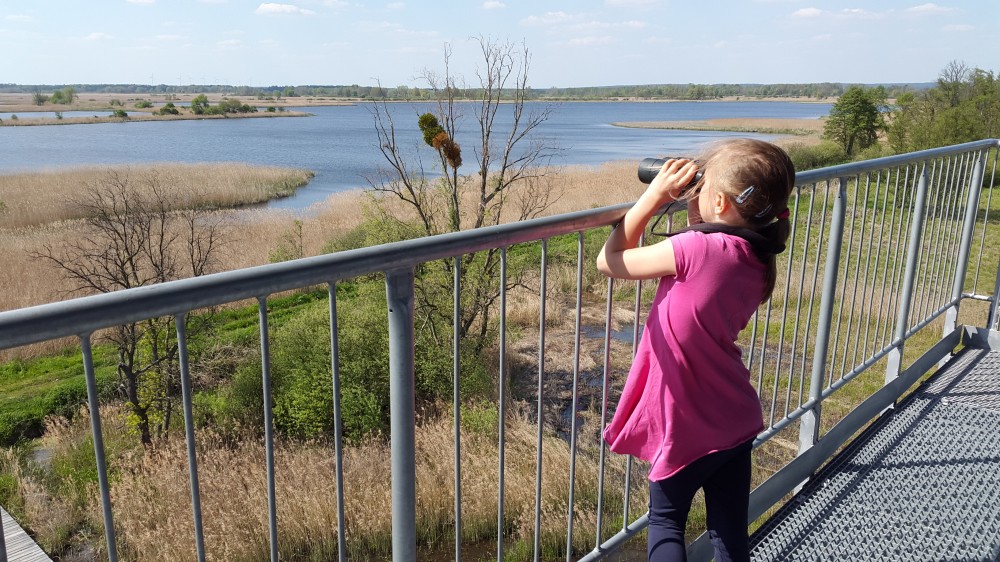 TOP5  park&oacute;w krajobrazowych - wygrywa PK Sudet&oacute;w Wałbrzyskich 