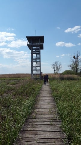 TOP5  parków krajobrazowych - wygrywa PK Sudetów Wałbrzyskich  - 2