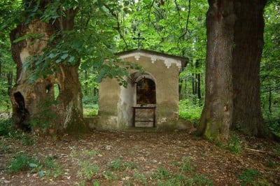 TOP5  parków krajobrazowych - wygrywa PK Sudetów Wałbrzyskich  - 9