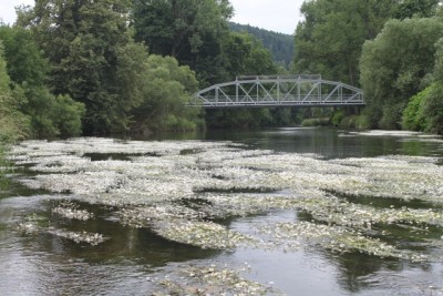 TOP5  parków krajobrazowych - wygrywa PK Sudetów Wałbrzyskich  - 17