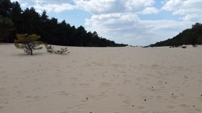 TOP5  parków krajobrazowych - wygrywa PK Sudetów Wałbrzyskich  - 1