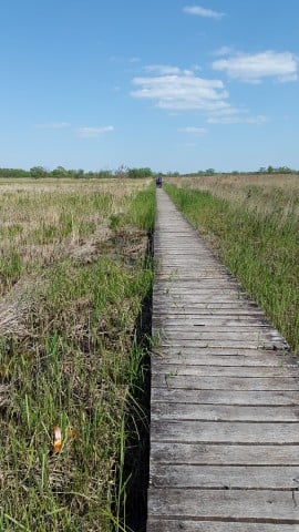 TOP5  parków krajobrazowych - wygrywa PK Sudetów Wałbrzyskich  - 3