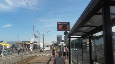 Mapy Google sobie - życie sobie. Sprawdzamy, jak działa nowa aplikacja - 0
