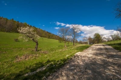 Dolnośląska wieś sprzedana za 12,5 mln zł spółce, z którą powiązany był Kulczyk - 0
