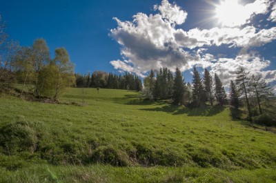 Dolnośląska wieś sprzedana za 12,5 mln zł spółce, z którą powiązany był Kulczyk - 1