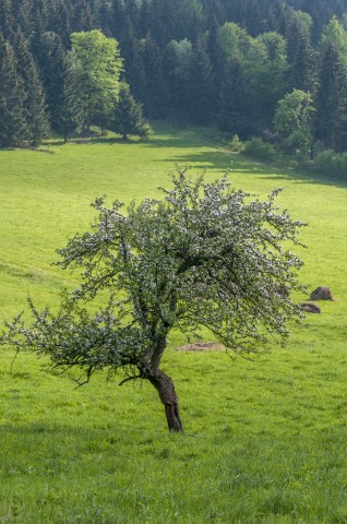 Dolnośląska wieś sprzedana za 12,5 mln zł spółce, z którą powiązany był Kulczyk - 5