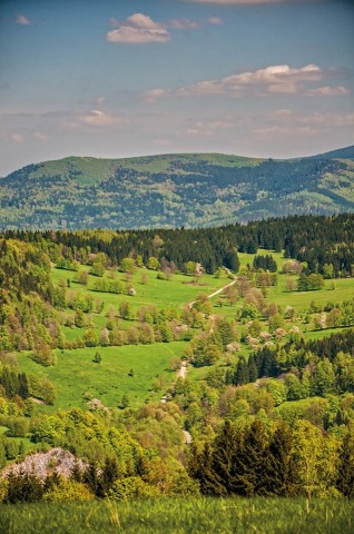 Dolnośląska wieś sprzedana za 12,5 mln zł spółce, z którą powiązany był Kulczyk - 6