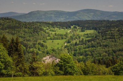 Dolnośląska wieś sprzedana za 12,5 mln zł sp&oacute;łce, z kt&oacute;rą powiązany był Kulczyk