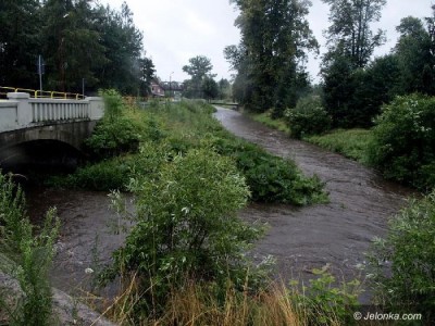 Dolny Śląsk - to była pracowita noc dla strażaków [ZDJĘCIA] - 13