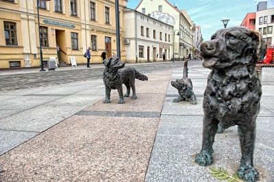 TOP5  wybraliśmy dzielnicę na planszę Monopoly  - 12