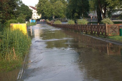 Olszyna: Trwa wielkie sprzątanie po nawałnicy (ZDJĘCIA) - 5