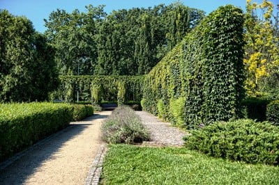 TOP5 najciekawszych, dolnośląskich parków - wygrywa Jelenia Góra !  - 17