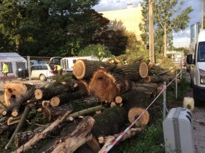 Wrocław: wycięto dziesiątki drzew w okolicach dworca PKS