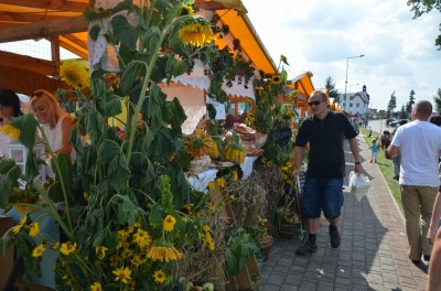DRJ: Festiwal Lata w Miękini - 0