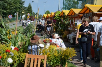 DRJ: Festiwal Lata w Miękini - 3