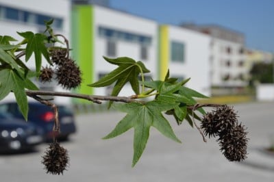 1 września otwarcie Centrum Edukacji Międzynarodowej we Wrocławiu - 8