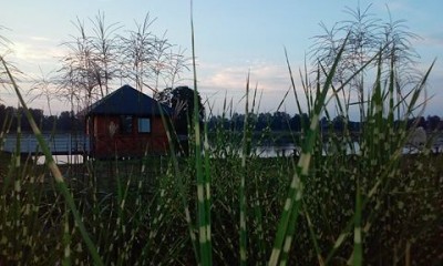 Bez rządowej pomocy nie będzie rezerwatu przyrody w Dolnie Baryczy - 6