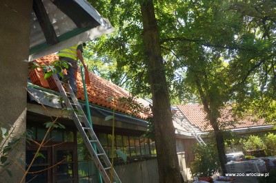 6 milionów złotych na kolejne inwestycje w ZOO [BYŁO - JEST] - 3