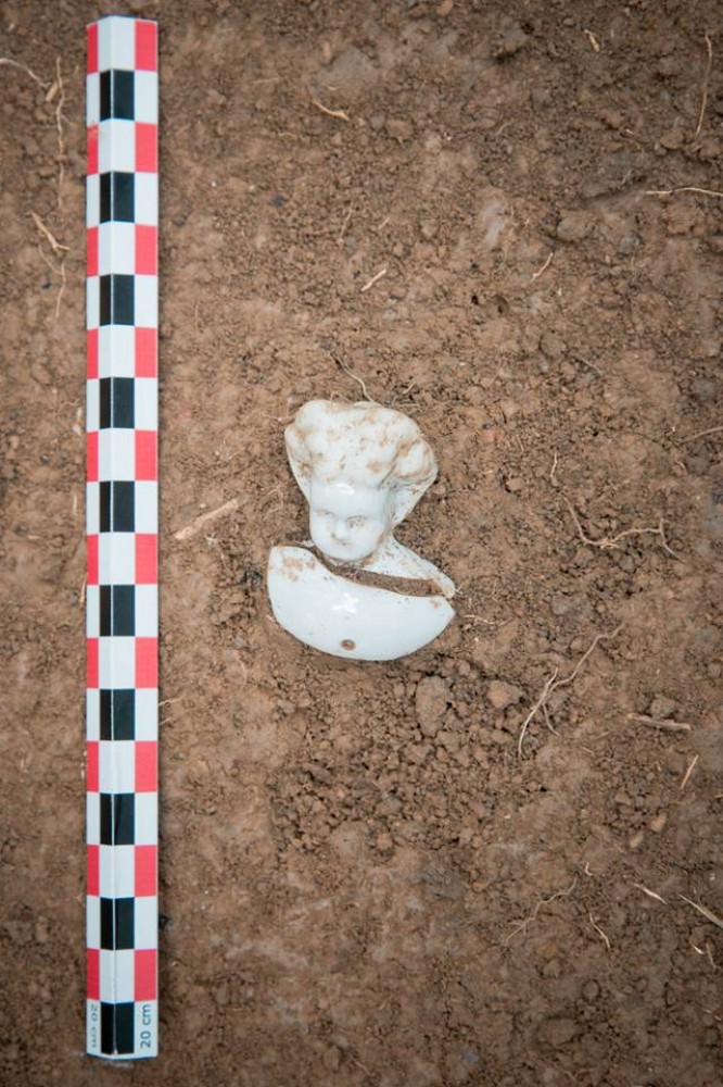 Wrocławscy archeolodzy na tropie dawnych plantacji [ZDJĘCIA]