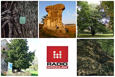 TOP5 dolnośląskich pomnik&oacute;w przyrody (GŁOSOWANIE)