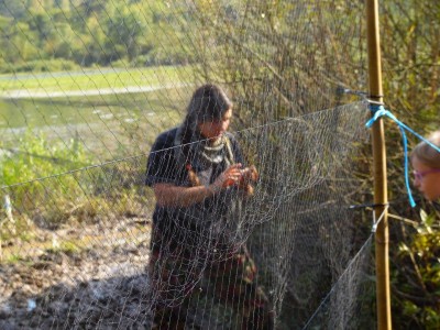 Ornitolodzy nad Bukówką: Europejski Dzień Ptaków - 3