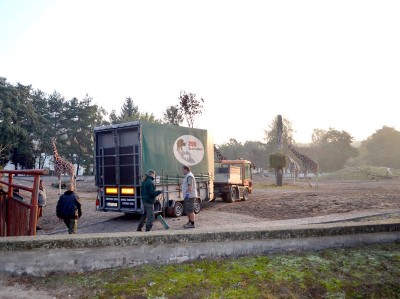 Hodowlany wrzesień we wrocławskim ZOO [ZDJĘCIA] - 1